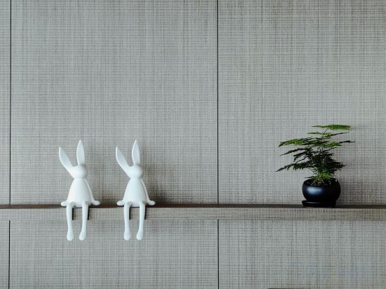 Others 3, Pagoda Design Hotel Hangzhou Binjiang CBD, Hangzhou