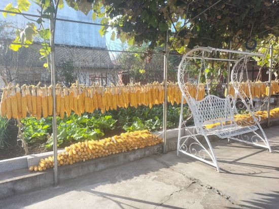 Others 2, Kuandian Yuxin Courtyard, Dandong