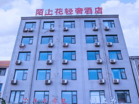 Others 2, Moshanghua Light Luxury Hotel (Minquan High-speed Railway North Station), Shangqiu