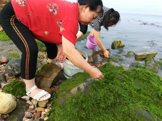 Others 2, chidasaoyujia, Yantai