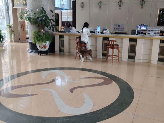 Others 4, Beauty Hotel, Qujing
