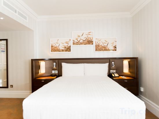 Hilton London Hyde Park Room Type - Queen Room with View
