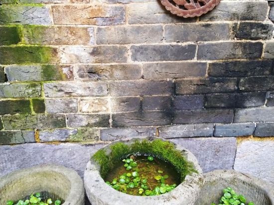 Others 3, Ayao's House Inn(Huangtao Town Yinxiu Branch), Hezhou