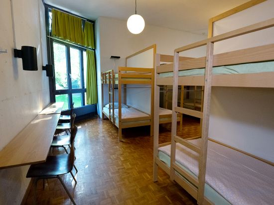 Youth Hostel Luzern Room Type - Bed in 20-Bed Male Dormitory Room