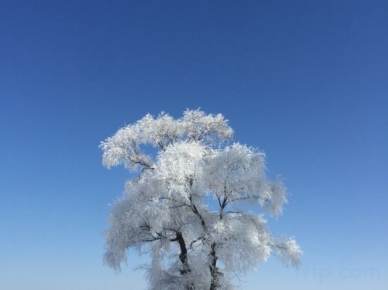 Others 2, Kongjia Hostel, Jilin