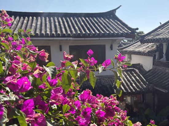Others 5, Linglong Xiaozhu | Travel Garden View Homestay, Lijiang
