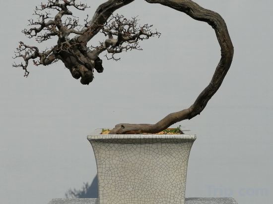 Others 4, Jinfu Hotel, Nanping