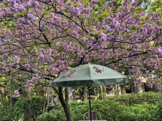 Others 5, Lushan Scenic Area Zhujie Villa, Jiujiang