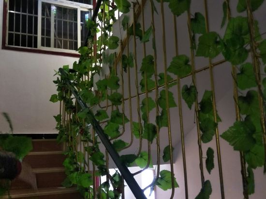Others 5, Anqing Xiyuan Hotel, Anqing