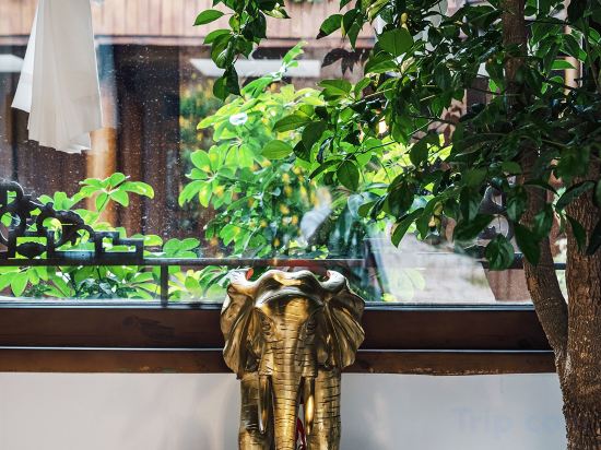 Others 4, Qianyu Miyun Viewing Bieyuan (Lijiang Ancient City Dashuiche Shop), Lijiang