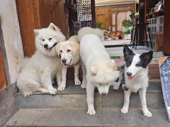 Others 2, Melody Echo Courtyard, Lijiang