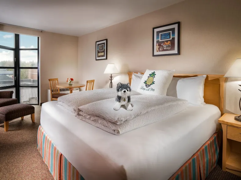 Staypineapple, University Inn, University District Seattle