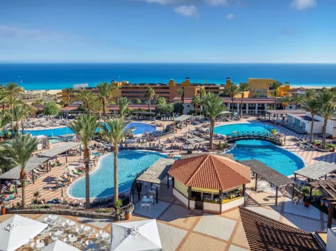 อ็อกซิเดนทัล ฮันเดีย มาร์ - ออล อินคลูซีฟ