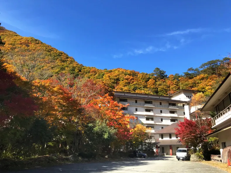 Hotel Yunishigawa