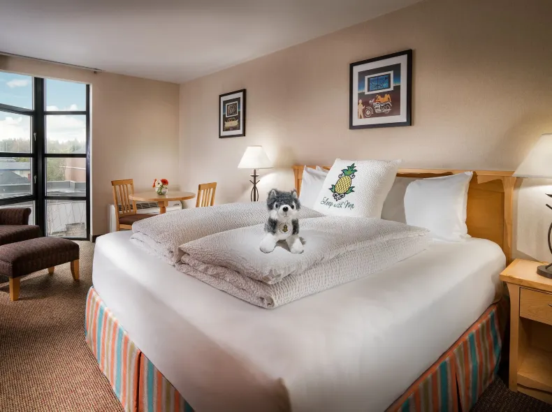 Staypineapple, University Inn, University District Seattle