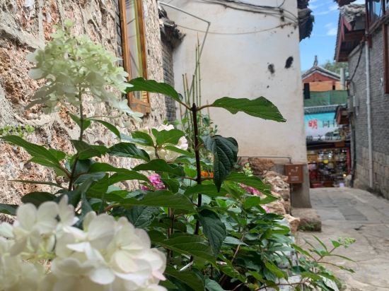 Others 3, Chenyian Chinese Inn (The Old Town of Lijiang Shizishan), Lijiang