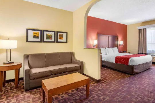 Comfort Suites - Near the Galleria