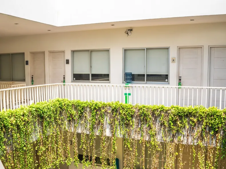 LeGreen Suite Penjernihan