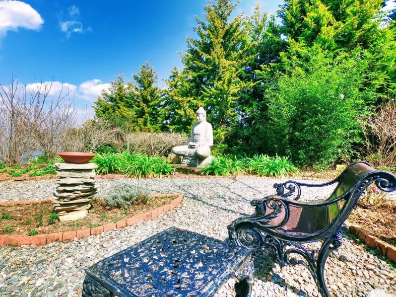 生活之樹Junoon山中