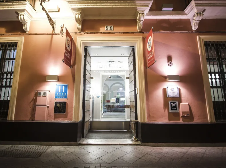 Petit Palace Marques Santa Ana