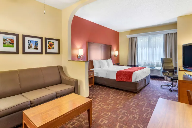 Comfort Suites - Near the Galleria