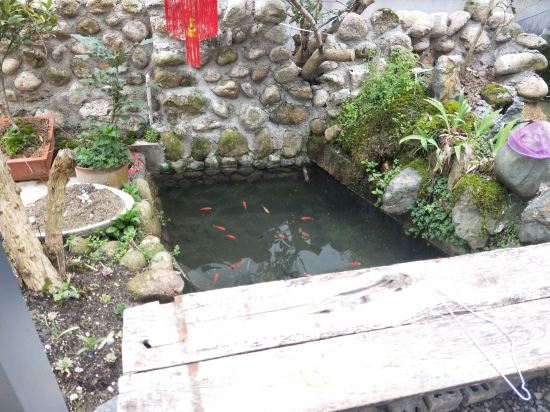 Others 5, Huangshan Emerald Valley Tingquan Xiaoyuan Homestay, Huangshan