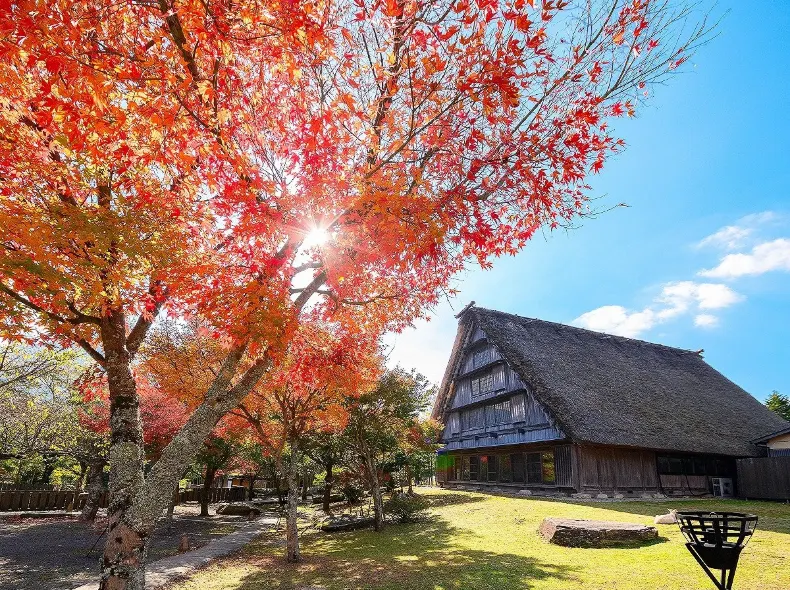 由布院温泉 山荘 四季庵