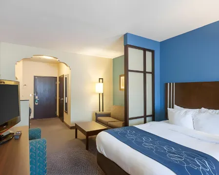 Comfort Suites San Antonio Airport North