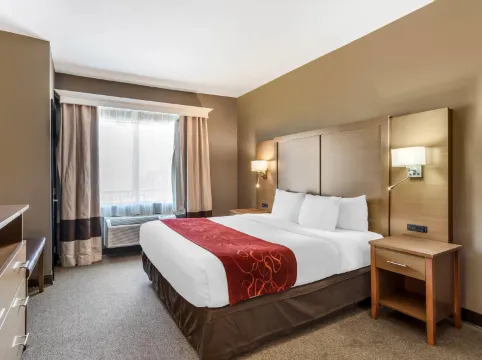 Comfort Suites Bush InterContinental Airport