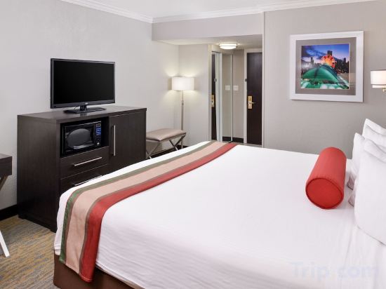 Best Western Ohare Hotel Rosemont Room Type - Standard Room, 1 King Bed, Non Smoking