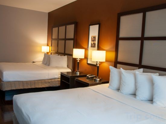 M Montreal - Hostel Room Type - King Studio with Sofa Bed