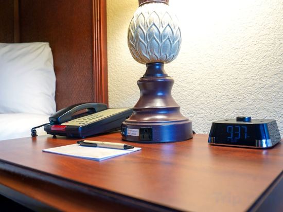 Rosen Inn at Pointe Orlando - Tap to explore photos