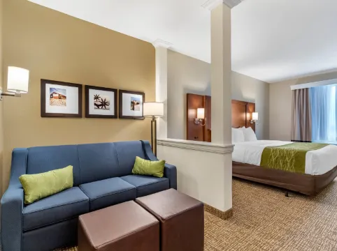 Comfort Suites San Antonio Ft Sam Houston-Sammc Area