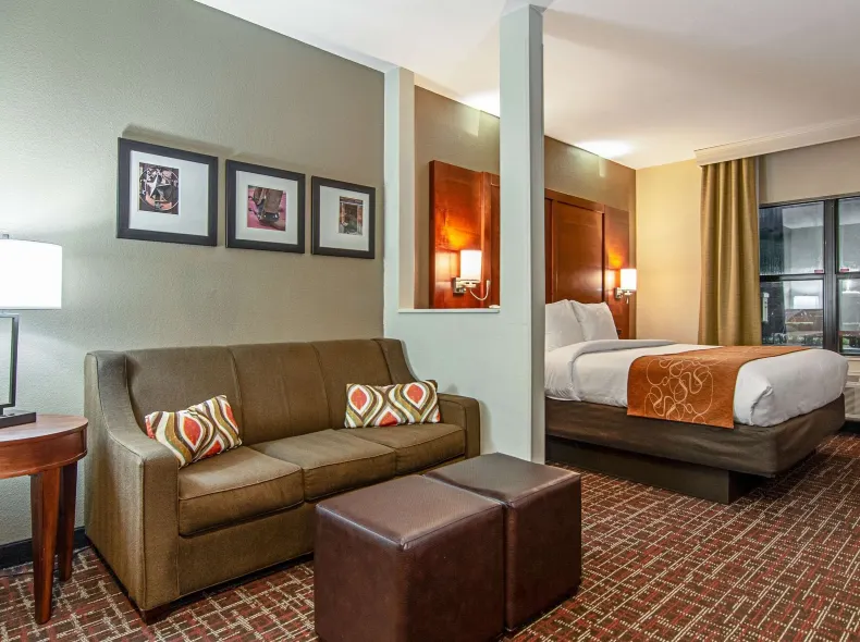 Comfort Suites NW Dallas Near Love Field