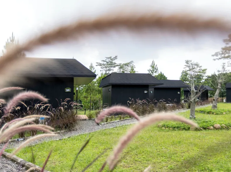Cabin @ ARTOTEL Pelangi Park
