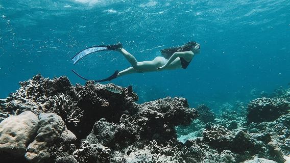 All Inclusive Snorkeling at Blue Lagoon with Lunch