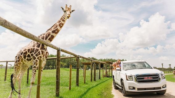 Wild Florida Drive-Thru Safari and Gator Park Admission