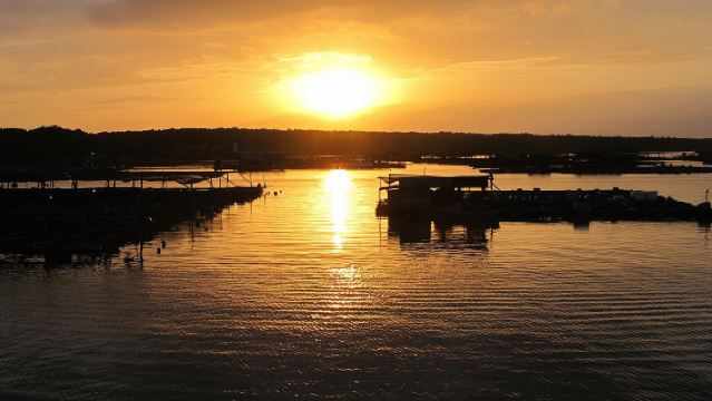 ทัวร์ส่วนตัวชมหิ่งห้อย กัมปุง และอาหารทะเลของสลังงอร์ (ทัวร์ส่วนตัว)