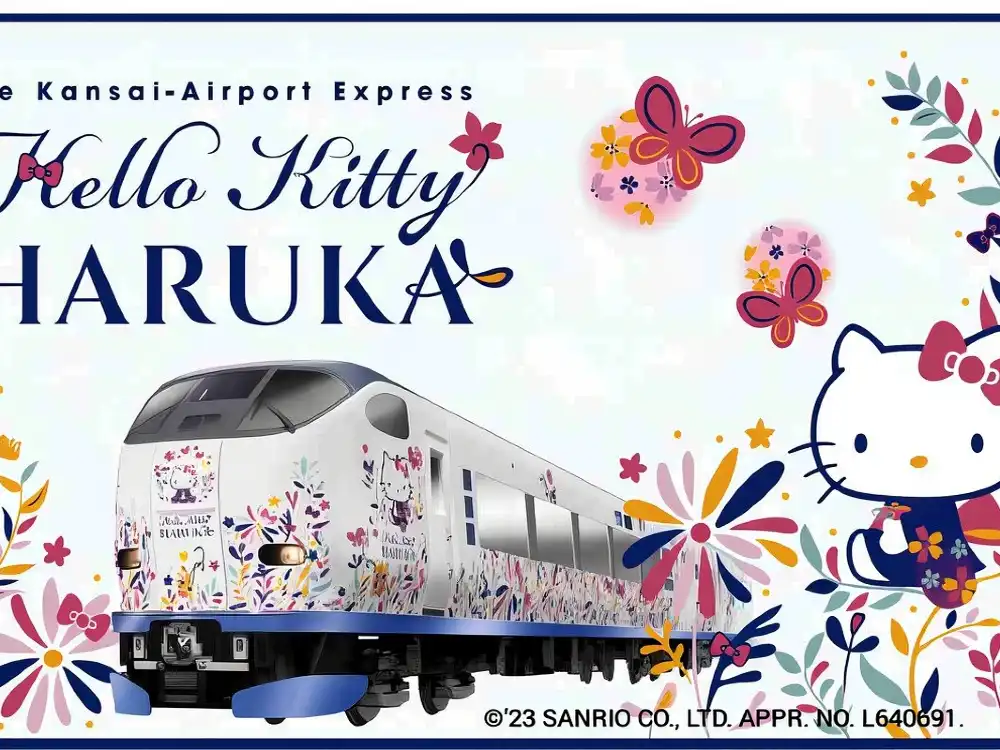 JR HARUKA Kansai Airport limited express ticket (physical ticket