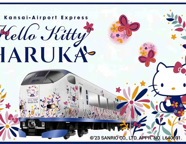 JR HARUKA Kansai Airport limited express ticket (physical ticket