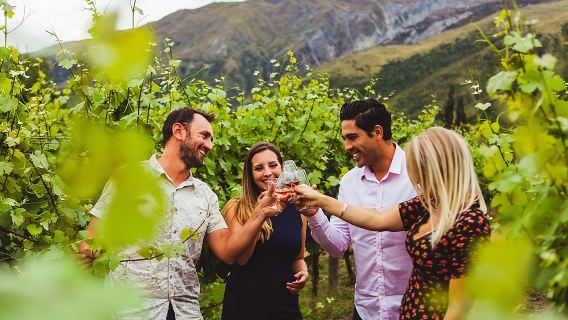 Award Winning Premium Wine Tour Queenstown Tasting at 4 Wineries