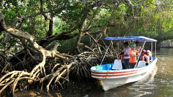 Mandinga y excursión en barco