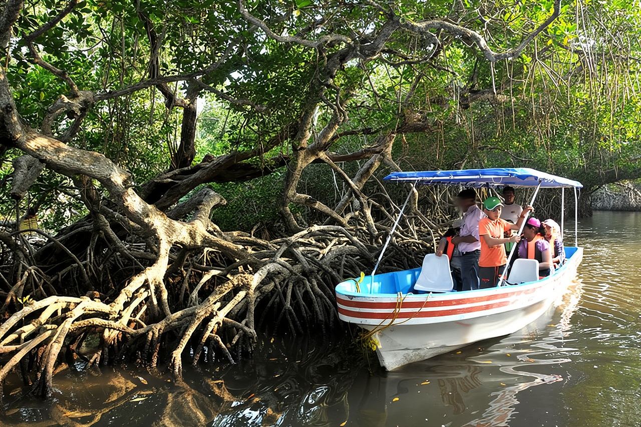 Mandinga y excursión en barco