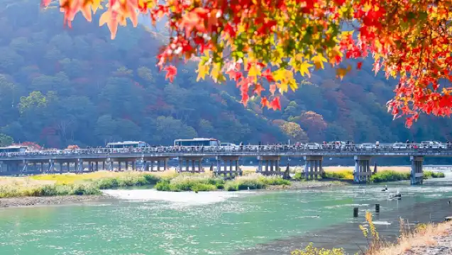 嵐山+渡月橋+天龍寺+野宮神社一日遊【普通話司機包車團】