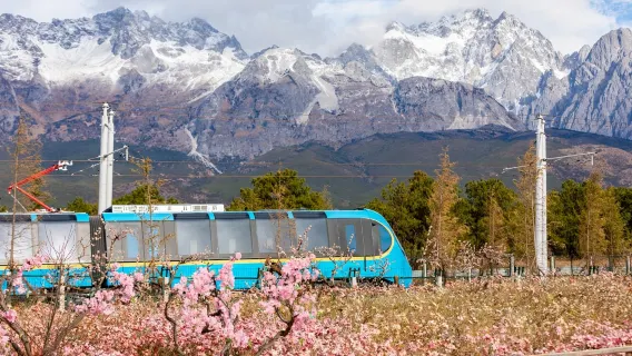 Montagna Innevata del Drago di Giada (Yulong) + Treno Turistico Panoramico Tour di Gruppo