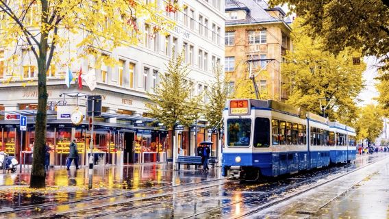 瑞士蘇黎世-瑞士國立博物館-可客製化【普通話專車-舒適純淨】