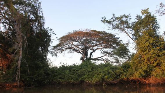 VIP Small Group Sabah Kota Kinabalu Mari Mari Cultural Village City one-day tour Borneo Mangrove