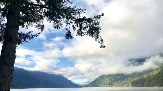 Tagesausflug in kleine Gruppen zum Olympic-Nationalpark mit malerischer Fähre (2CanGo)