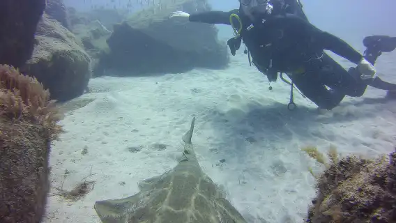Scuba Diving Beginner's Session in Costa Adeje