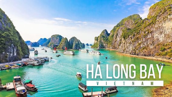 Halong Bay and Cave Full-Day Cruise,Lunch,Cave,Island,Beach from Hanoi